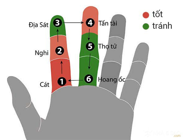 Tính tuổi hoang ốc trên đầu ngón tay