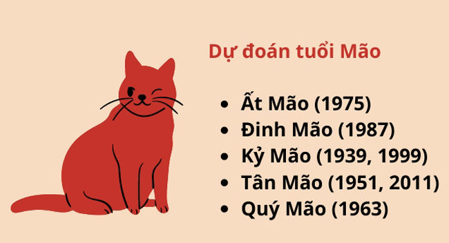 Hướng bếp tuổi đinh mão 1987