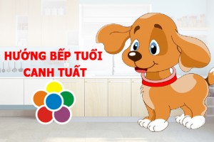 Hướng bếp tuổi Canh Tuất