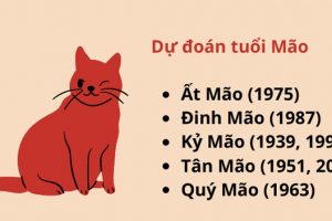 Hướng bếp tuổi đinh mão