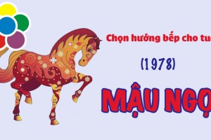 Hướng bếp tuổi mậu ngọ