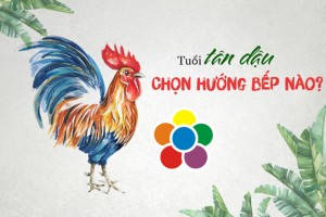 Hướng bếp tuổi Tân Dậu