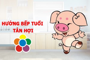 Hướng bếp tuổi Tân Hợi